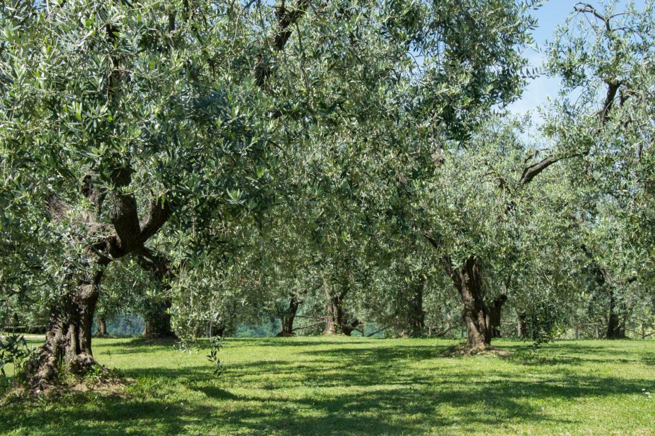 Agriturismo Podere La Casa Palaia Exterior photo