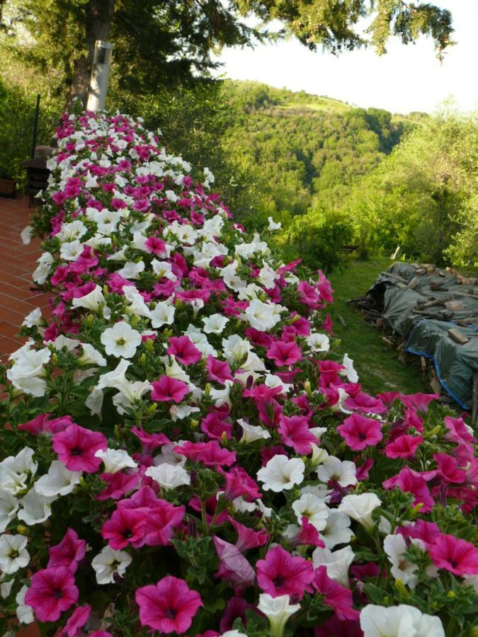 Agriturismo Podere La Casa Palaia Exterior photo